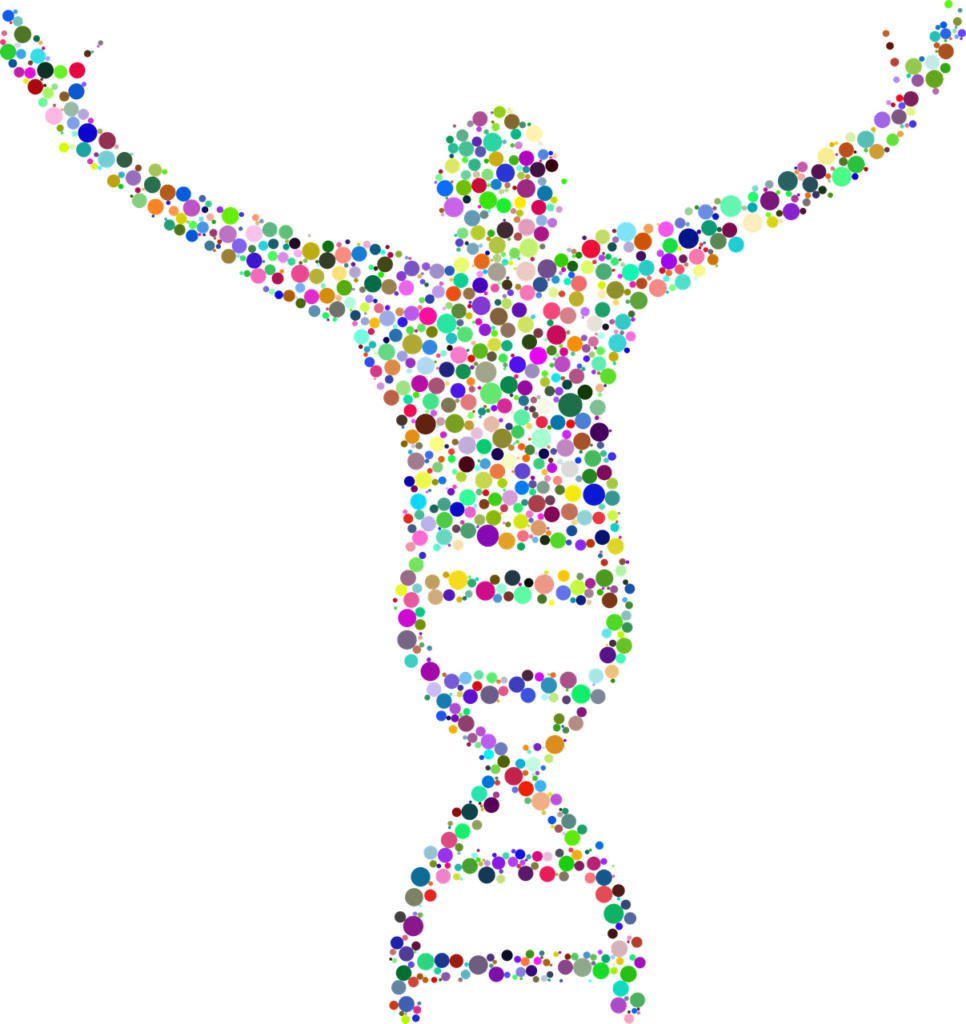 dna, deoxyribonucleic acid, people-2789567.jpg